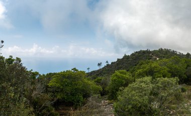 Monterosso al Mare 'nin Panoramik Manzarası, İtalya' nın Riviera kentindeki Cinque Terre 'deki Tarihi Sahil Köyü.