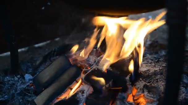 Piękny ogień płomienie — Wideo stockowe