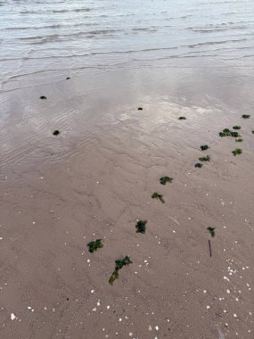 Hafif deniz dalgaları akşamları kıyıdaki kumu yıkar. Deniz kabukları, deniz yosunu ve kıyı bitkilerinin detayları, terk edilmiş bir martı tüyü, bir denizanası izi, dokunulmamış doğa izlenimi yaratır.