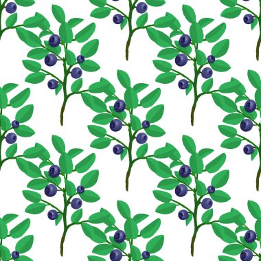 Taze yaban mersini vektörünün dikişsiz deseni. Basit orman geçmişi.