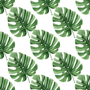 Canavar yapraklı kusursuz bir desen. Doğal gerçekçilik.