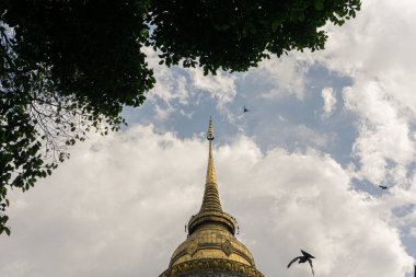 Büyük bir Budist olan Chedi 'nin (stupa) yaldızlı kulesi dikeyliğini ve kutsal yüksekliğini vurguluyor. Altın yapı, muhtemelen Kuzey Tayland 'daki büyük bir tapınağa aittir (önceki resimdeki gibi).
