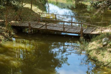 Yoğun, yeşil bir orman içinde sakin ve dolambaçlı bir dere boyunca uzanan kırsal bambu yaya köprüsünün yer aldığı sakin, güneşli bir manzara. Huzuru, doğanın basitliğini ve gizlilik duygusunu çağrıştırıyor.