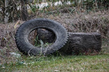 Eski, yıpranmış bir lastik çimenlerin üzerinde, açık havada yetişmiş iki ahşap kütüğün yanında duruyor..