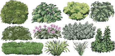 Çeşitli yeşil tonlarda el yapımı bahçe çalıları, çitler ve çiçek açan bitkiler. Manzara tasarımı ve çizimleri için mükemmel..