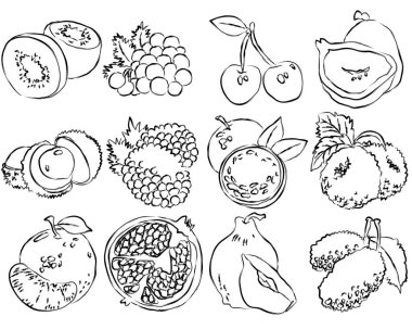 El yapımı egzotik ve narenciyeli meyve eskizlerinin minimalist koleksiyonu, temiz, siyah-beyaz mürekkep tarzında organik dokular ve çeşitli botanik formlar içeriyor.