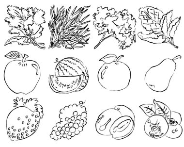 El yapımı meyve ve yapraklı bitki taslaklarının toplanması, taze, organik doğayı kutlamak için mürekkep darbelerini minimalist botanik formlarla harmanlamak..