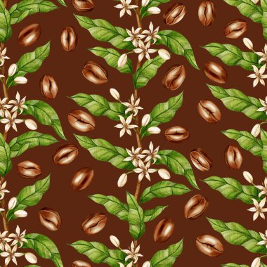Kahve ağacı dalları, beyaz çiçekler ve kahverengi fasulyeler içeren suluboya desenleri. Kafe menüleri, kafe markası, ambalaj ve tekstil tasarımı için ideal..