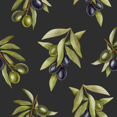 Elle çizilmiş yeşil ve siyah zeytinler, zeytin dalları ve yapraklarla kusursuz bir suluboya deseni. Yemek çizimi. Kumaş, ambalaj ve tasarım için mükemmel..