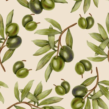 Elle çizilmiş yeşil zeytinler, zeytin dalları ve yapraklarla kusursuz bir suluboya deseni. Yemek çizimi. Kumaş, ambalaj ve tasarım için mükemmel..