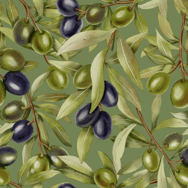 Zeytin dalları. Elle çizilmiş yeşil ve siyah zeytin dalları ve yapraklarıyla kusursuz bir suluboya deseni. Kumaş, ambalaj ve tasarım, menüler ve mutfak tekstili için mükemmel..
