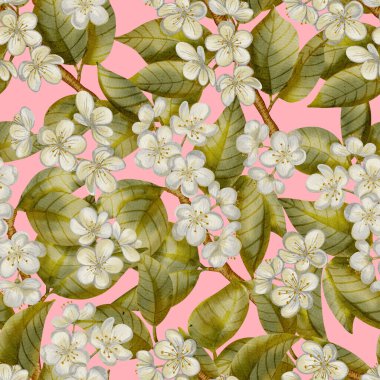 Beyaz çiçekler ve yeşil yapraklarla kaplı armut ağacı dallarının elle boyanmış suluboya desenleri. Tekstil, duvar kağıdı, düğün kırtasiyesi ve ambalaj tasarımı için mükemmel.