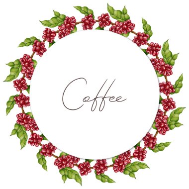 Kırmızı böğürtlen ve yeşil yapraklı el yapımı suluboya kahve ağacı çelengi. Kahve dükkanları, ambalajlar, mağazalar ve botanik menü tasarımı için mükemmel.