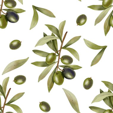 Yeşil zeytin. Elle çizilmiş yeşil zeytinler, zeytin dalları ve yapraklarla kusursuz bir suluboya deseni. Yemek çizimi. Kumaş, ambalaj ve tasarım için mükemmel..