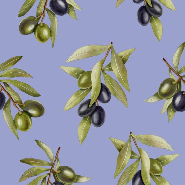 Elle çizilmiş yeşil ve siyah zeytinler, zeytin dalları ve yapraklarla kusursuz bir suluboya deseni. Yemek çizimi. Kumaş, ambalaj ve tasarım için mükemmel..