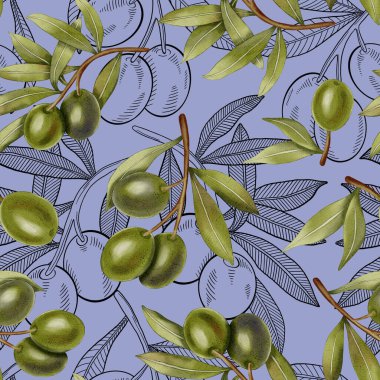 Elle çizilmiş yeşil zeytinler, zeytin dalları ve yapraklarla kusursuz bir suluboya deseni. Yeşil zeytin ve siyah bir taslak. Yemek çizimi. Kumaş, ambalaj ve tasarım için mükemmel..