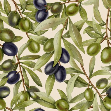 Zeytin dalları. Elle çizilmiş yeşil ve siyah zeytin dalları ve yapraklarıyla kusursuz bir suluboya deseni. Kumaş, ambalaj ve tasarım, menüler ve mutfak tekstili için mükemmel..