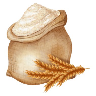 Beyaz buğday unuyla dolu bir çuvalın suluboya çizimi. Buğday kulakları. Fırınlanmış ürünlerin, tarım ürünlerinin, hasatların ve doğal ürünlerin paketlenmesi için ideal.
