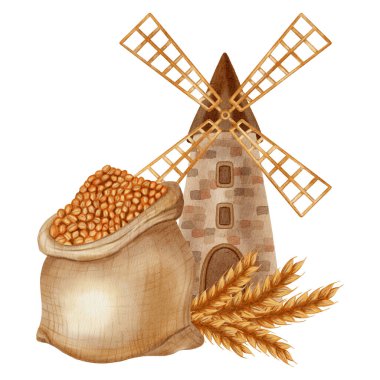 Bir köy değirmeni, çuvallar ve kaseler dolusu darı taneciklerini gösteren suluboya çizimler. Markalaşma, ambalaj ve hasat için ideal, aynı zamanda fırın, çiftlik ve organik ürünler için de..