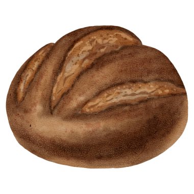 Yuvarlak bir çavdar ekmeğinin suluboya çizimi ya da rustik tarzda siyah ekmek. Fırın markalaşması, menü tasarımı, gıda ambalajı ve sağlıklı yeme kavramları için mükemmel..