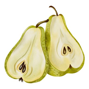 Yeşil armutlar ve dilimlenmiş takozların elle çizilmiş suluboya çizimi. Yemek ambalajı, menü tasarımı, tarif kartları ve basit mağaza içi dekorasyon için mükemmel..