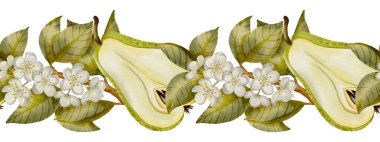 Kesik armutlar, beyaz çiçekler ve yeşil yapraklarla el yapımı suluboya. Gıda ambalajı, düğün, tarif kitabı tasarımı, tekstil baskıları, organik ürün markalaşması için mükemmel..