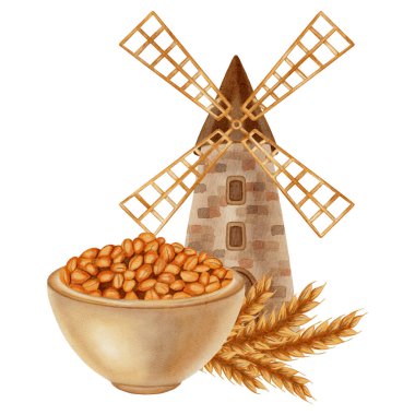 Bir köy değirmeni, çuvallar ve kaseler dolusu darı taneciklerini gösteren suluboya çizimler. Markalaşma, ambalaj ve hasat için ideal, aynı zamanda fırın, çiftlik ve organik ürünler için de..