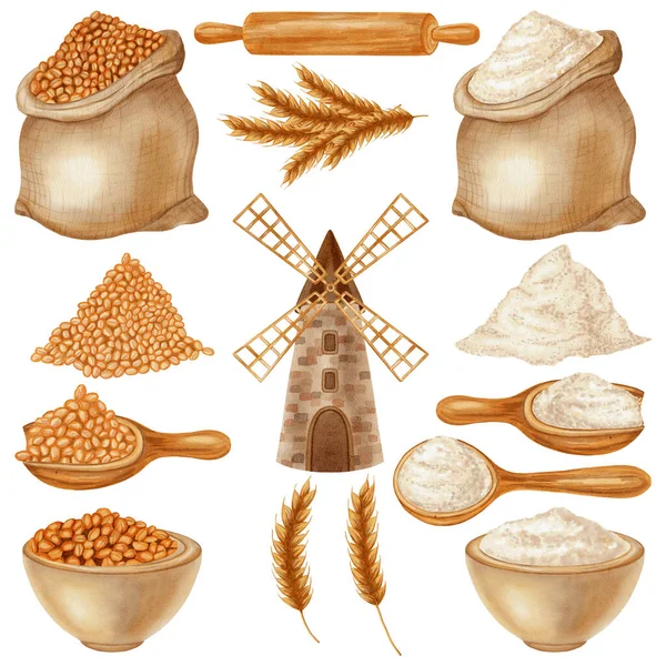 Suluboya resimleme seti: çuval, kaşık ve kase içinde un, artı değirmen, buğday kulakları, ve merdane, tahıl, buğday. Fırın markalaşması, menü, yemek paketleri, yemek kitapları, tarifler için mükemmel.