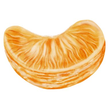 Soyulmuş portakal dilimleri. Portakal rengi bir mandalinanın suluboya çizimi. Tropik turunçgil meyvesi. Yeni yıl tasarımları, ambalajlar, tebrik kartları, mutfak dekorasyonu, markalaşma, yemek blogları için mükemmel.