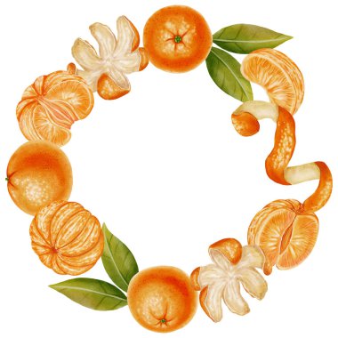 Mandarin Turuncu ve Yaprak Çelengi. Soyulmuş ve soyulmamış mandalinalar içeren dairesel bir çelengin suluboya çizimi. Yılbaşı tasarımları, ambalajlar, menüler, markalar ve yiyecek ambalajları için mükemmel.