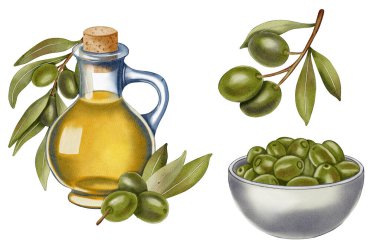 Zeytin ve yapraklı el yapımı suluboya zeytin yağı şişesi. Zeytin dalları, yapraklar ve meyveler. Kumaş, ambalaj kağıdı, hatıra defteri, ambalaj tasarımı, mutfak, menü için
