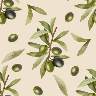 Yeşil zeytin. Elle çizilmiş yeşil zeytinler, zeytin dalları ve yapraklarla kusursuz bir suluboya deseni. Yemek çizimi. Kumaş, ambalaj ve tasarım için mükemmel..
