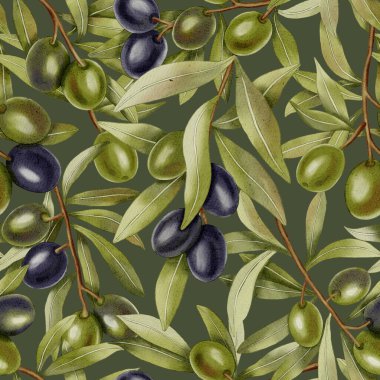 Zeytin dalları. Elle çizilmiş yeşil ve siyah zeytin dalları ve yapraklarıyla kusursuz bir suluboya deseni. Kumaş, ambalaj ve tasarım, menüler ve mutfak tekstili için mükemmel..