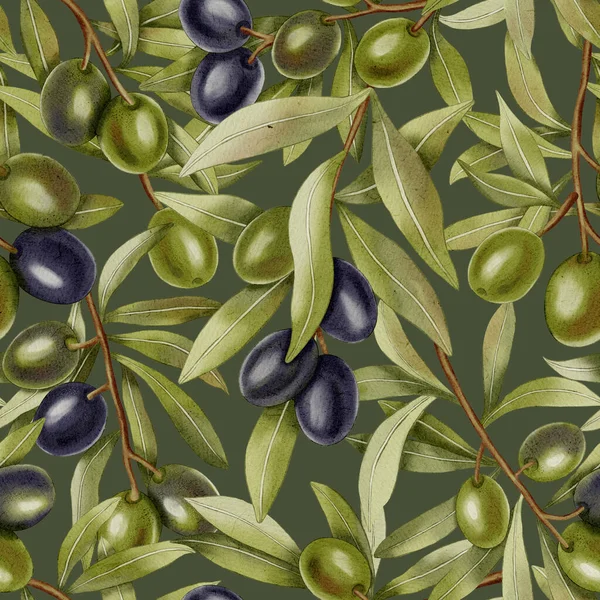 Zeytin dalları. Elle çizilmiş yeşil ve siyah zeytin dalları ve yapraklarıyla kusursuz bir suluboya deseni. Kumaş, ambalaj ve tasarım, menüler ve mutfak tekstili için mükemmel..