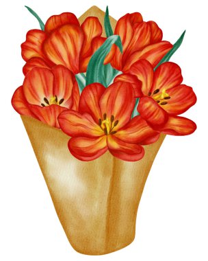 Bir buket kırmızı lalenin suluboya çizimi. Bu bahar çiçekleri tatil kartları, doğum günü kartları, Uluslararası Kadınlar Günü kartları, Paskalya kartları ve romantik tasarımlar için mükemmeldir..