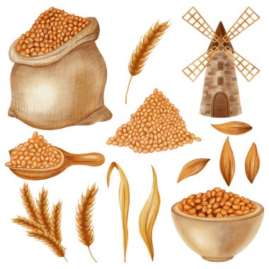 Buğdayla ilgili unsurların suluboya seti: farklı kaplarda değirmen, tahıl, kulak ve un. Çiftçilik, organik gıda, tahıl ürünleri ambalajı, menü, gıda ambalajı, yemek kitapları için mükemmel