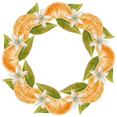 Mandarin Turuncu Çelengi. Portakal dilimli yuvarlak bir çelengin suluboya çizimi. Yılbaşı tasarımları, ambalajlar, menüler, markalar ve yiyecek ambalajları için mükemmel..