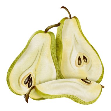 Yeşil armutların ve dilimlenmiş takozların el çizimi suluboya çizimi. Yemek paketleme, menü tasarımı, tarif kartları ve basit mağaza dekorasyonu için mükemmel.