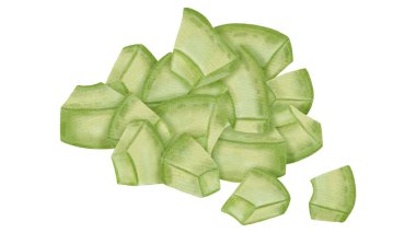 Avokado dilimleri, yüzükler ve parçalardan oluşan el yapımı suluboya çizimleri. Mağazalar, kafeler, ambalajlar, menüler, logolar ve sağlıklı beslenme ve kozmetik ürünleriyle ilgili projeler için mükemmel..