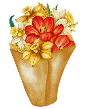 Kırmızı lalelerin ve nergislerin suluboya çizimi. Bahar çiçekleri, tatil kartları, tebrik kartları, Uluslararası Kadınlar Günü kartları ve Paskalya kartları için mükemmeldir..