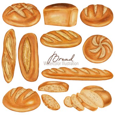 Çeşitli beyaz ekmek türleri içeren suluboya resimleme seti: baget, dilimlenmiş ekmek, yuvarlak somun ve çörekler. Fırın markalaşması, menü, yemek paketleri, yemek kitapları, tarifler için mükemmel.