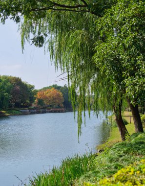Hazine Gemisi Tersanesi Parkı - Park üç kuru rıhtım havuzu ve bir müze gibi gösterileri barındırıyor, bir hazine gemisinin tam boyutlu kopyası.