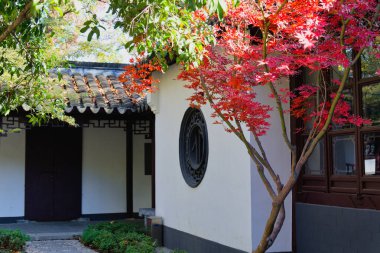 Qingliang Dağ Parkı 'nda sonbahar sonu.