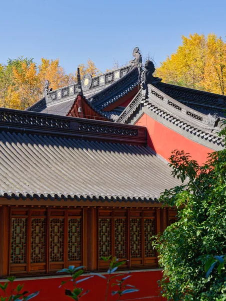 Qingliang Dağ Parkı 'nda sonbahar sonu.