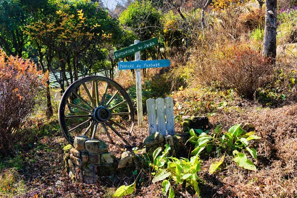 Hiei Bahçe Müzesi 'nin sonbahar manzarası