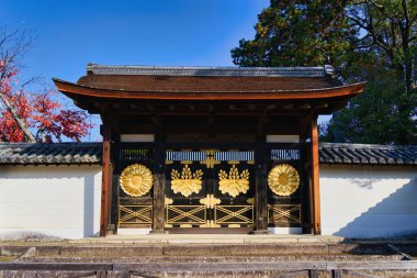 Akçaağaç Yaprağı Festivali - Daigo-ji Tapınağında Sonbahar   