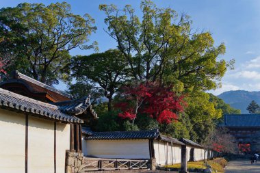 Akçaağaç Yaprağı Festivali - Daigo-ji Tapınağında Sonbahar   