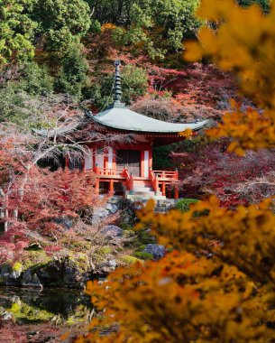 Akçaağaç Yaprağı Festivali - Daigo-ji Tapınağında Sonbahar   
