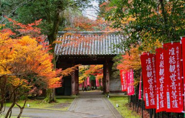 Akçaağaç Yaprağı Festivali - Daigo-ji Tapınağında Sonbahar            