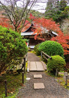 Akçaağaç Yaprağı Festivali - Daigo-ji Tapınağında Sonbahar            